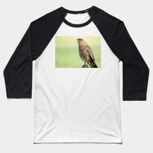 1315 hawk Baseball T-Shirt